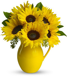 Teleflora Sunny Day Pitcher of Sunflowers from Krupp Florist, your local Belleville flower shop